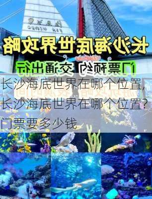 长沙海底世界在哪个位置,长沙海底世界在哪个位置?门票要多少钱