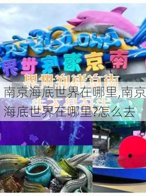 南京海底世界在哪里,南京海底世界在哪里?怎么去